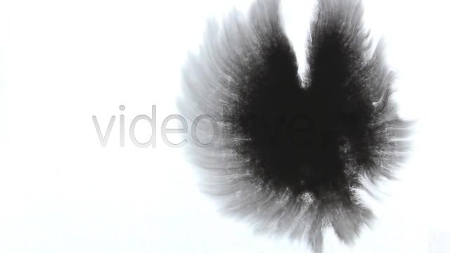 Ink Drops  Videohive 2613498 Stock Footage Image 7