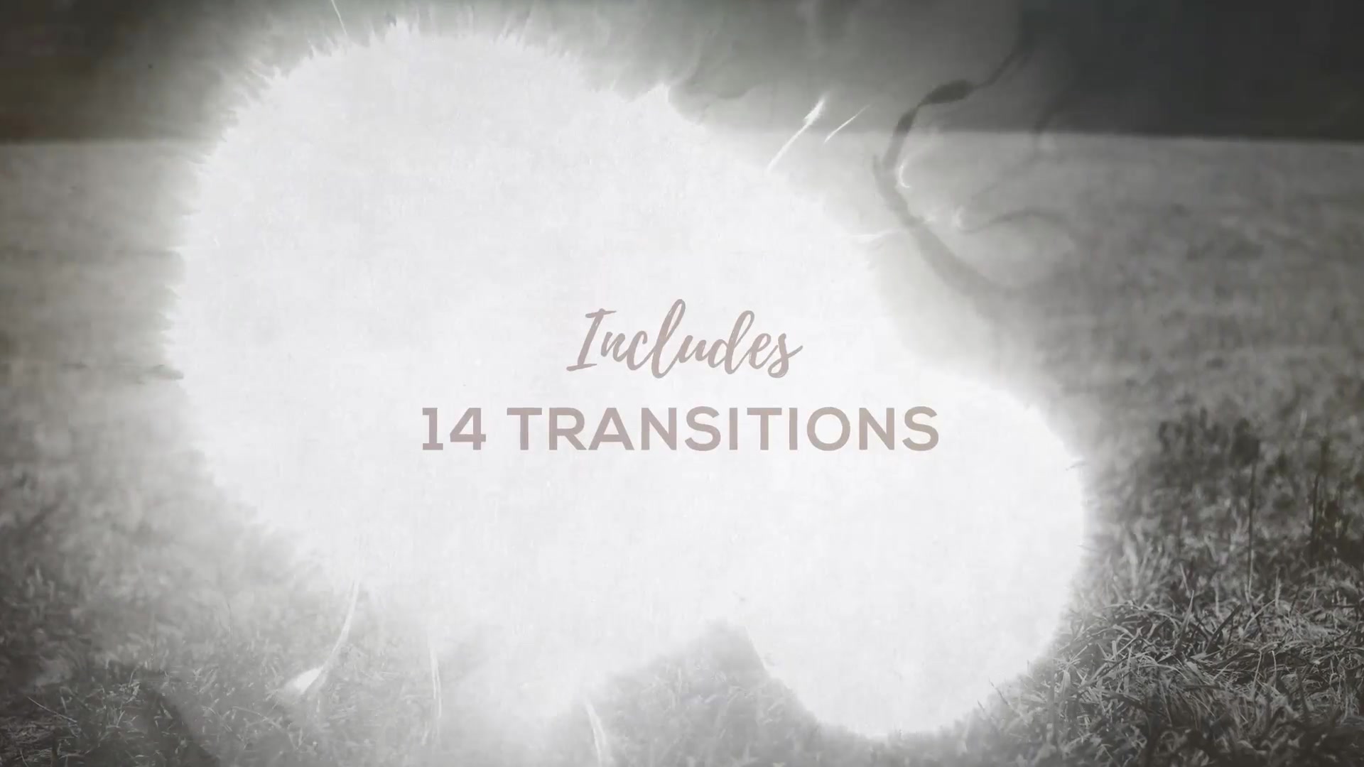 Ink Transitions - Download Videohive 18015094