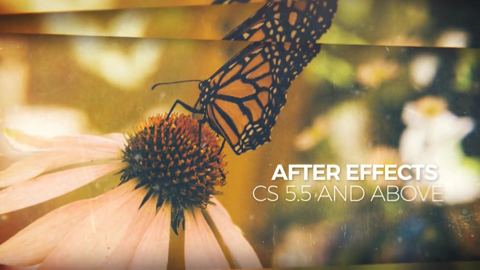 Inspirational Slideshow Videohive 12666663 After Effects Image 8