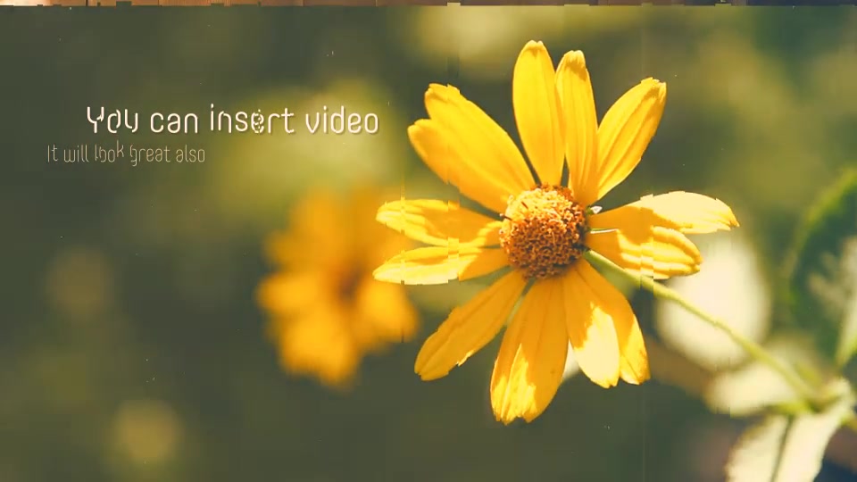 Inspirational Slideshow - Download Videohive 11769876