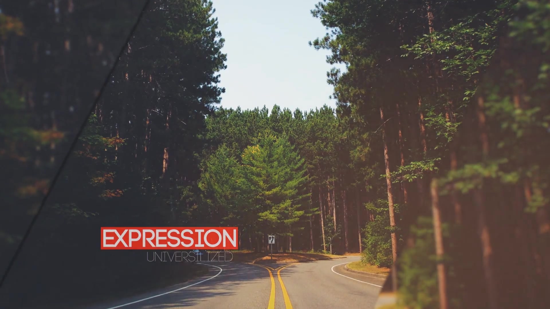 Inspire Opener // Elegant Dynamic Slideshow Videohive 12375825 After Effects Image 8