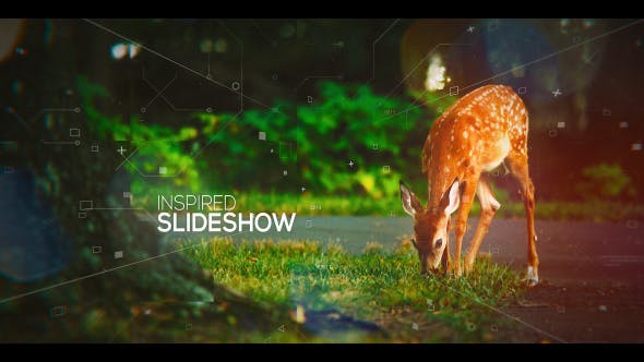 Inspired Modern Slideshow - 20943556 Videohive Download