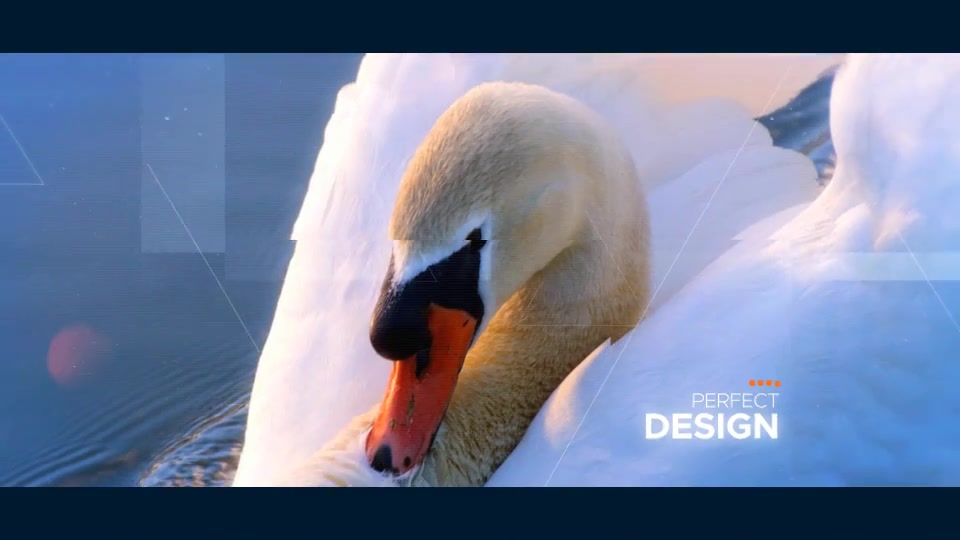 Inspiring Opener Videohive 21376174 After Effects Image 9