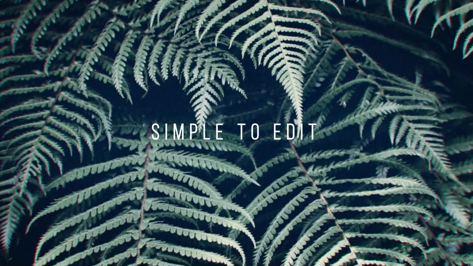 Inspiring Videohive 11870107 After Effects Image 8