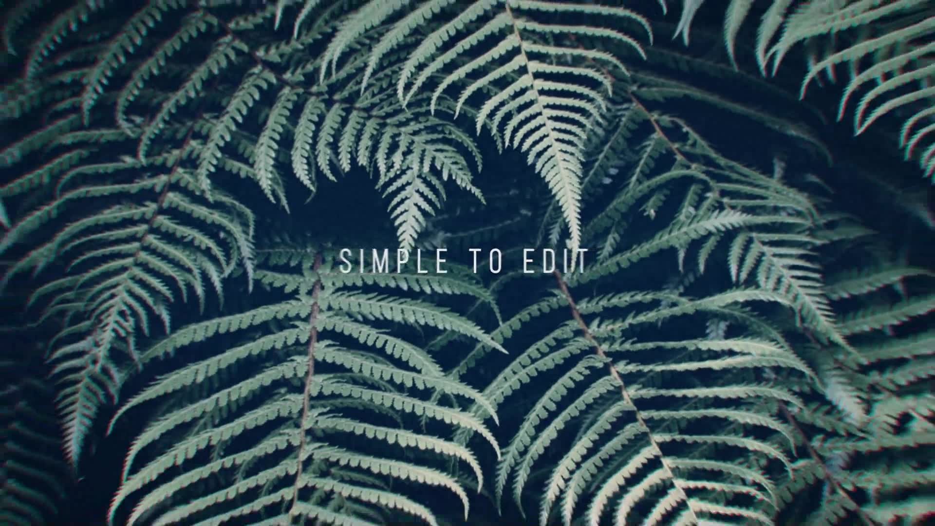 Inspiring Videohive 11870107 After Effects Image 9