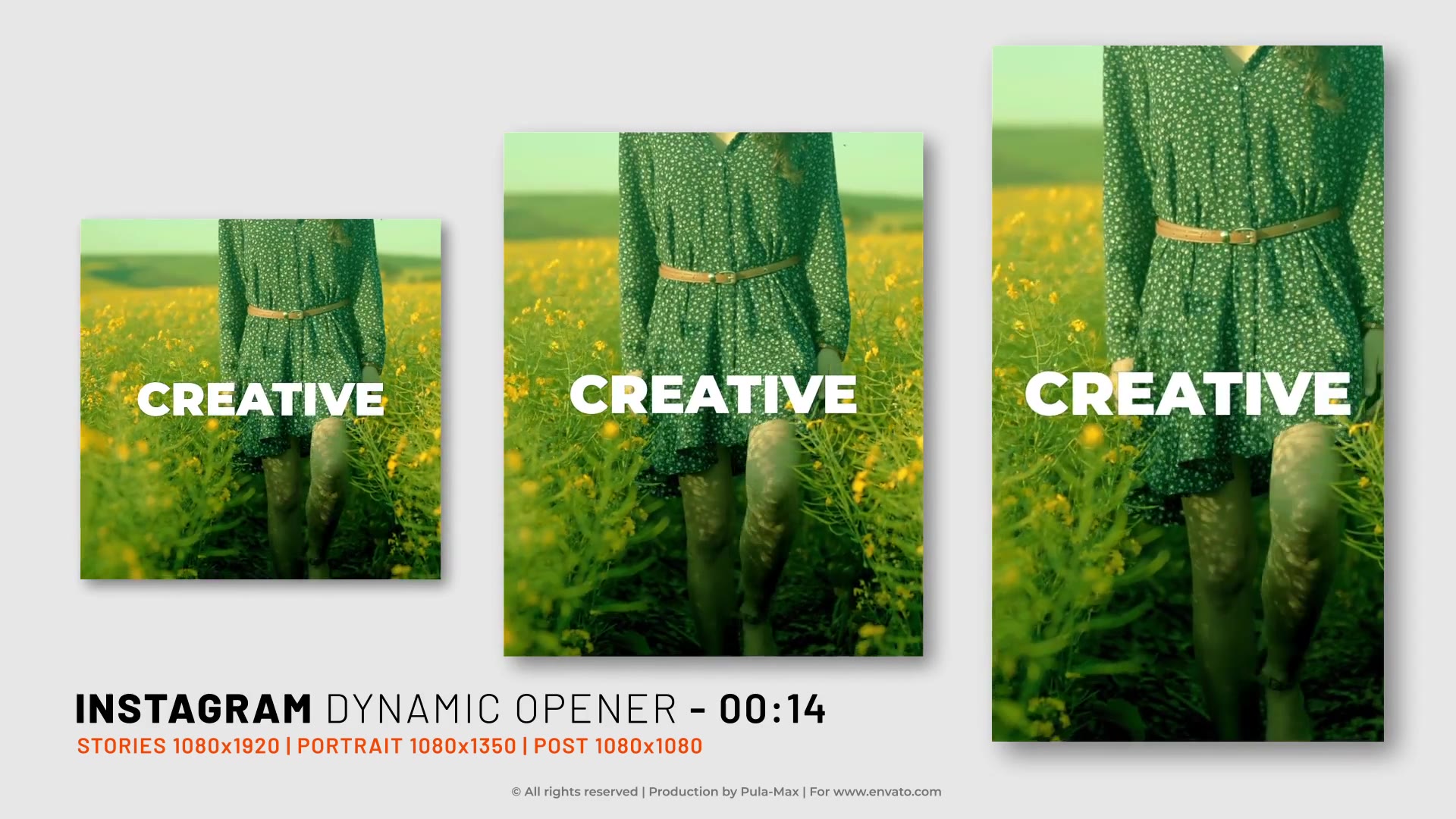 Instagram Dynamic Opener Videohive 34303377 After Effects Image 5