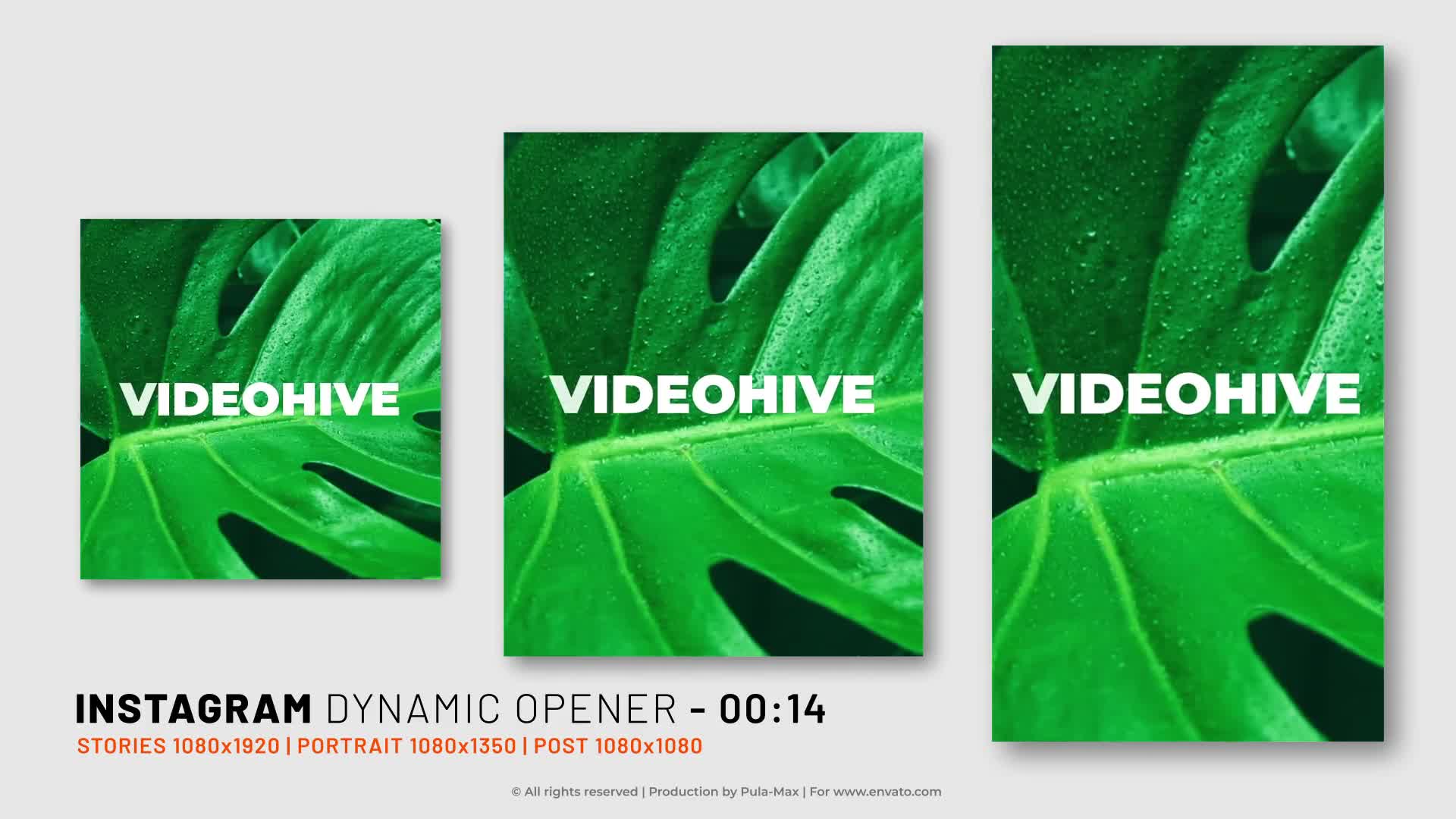 Instagram Dynamic Opener Videohive 34303377 After Effects Image 8