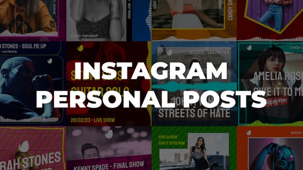 Instagram Personal Posts - Videohive Download 25821013
