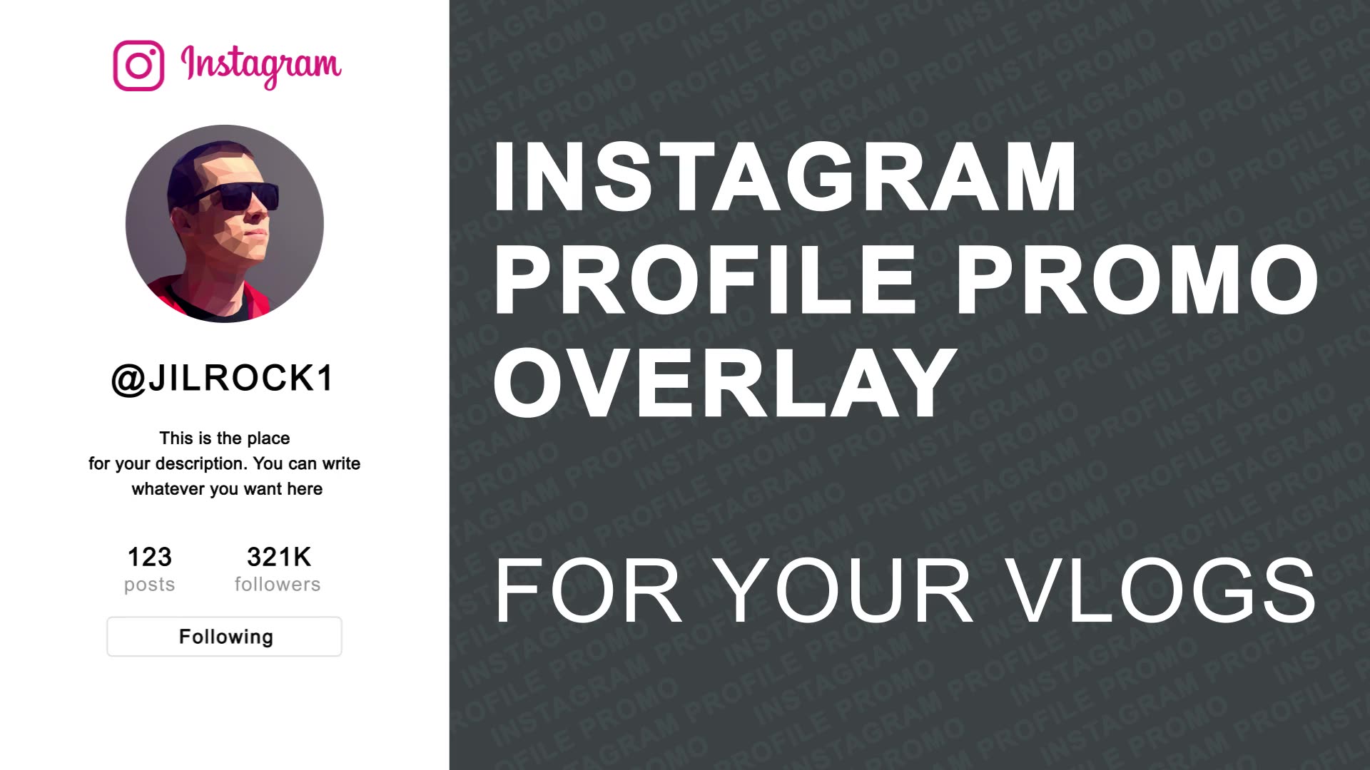 Instagram Profile Promo Overlay - Download Videohive 23286857