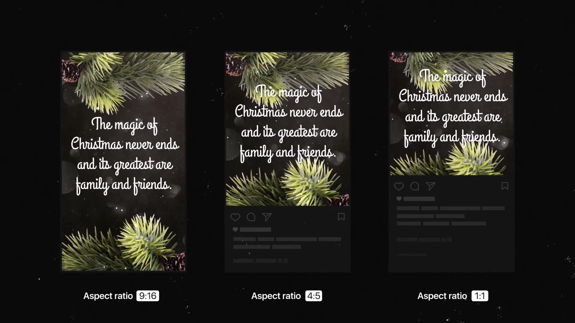 Instagram Stories | Christmas Greetings Videohive 35221003 Premiere Pro Image 7