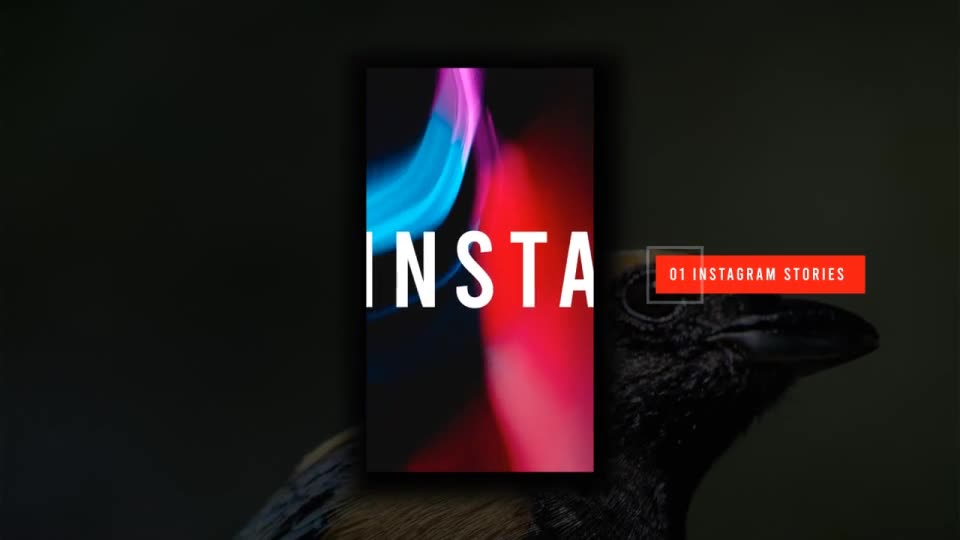 Instagram Stories Videohive 29475809 After Effects Image 2