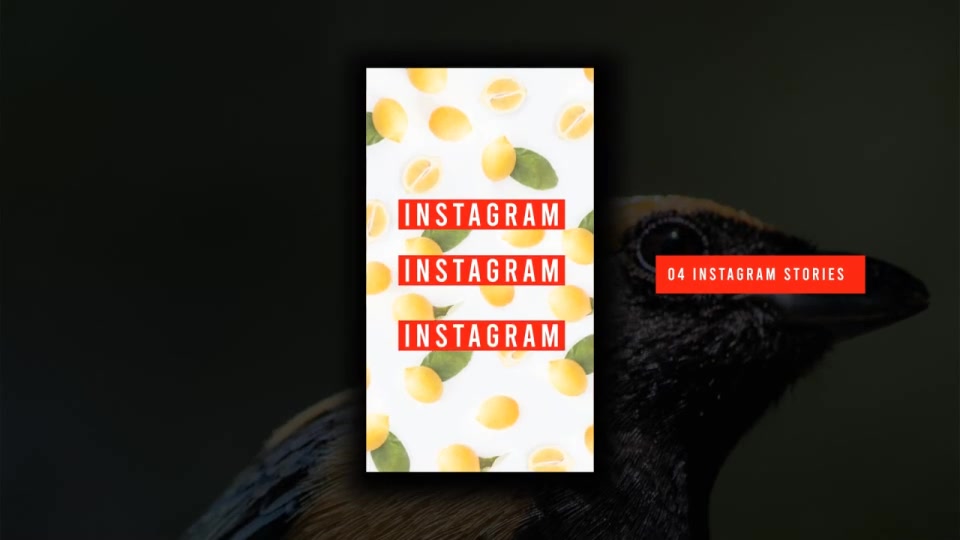 Instagram Stories Videohive 29475809 After Effects Image 5
