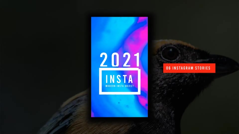 Instagram Stories Videohive 29475809 After Effects Image 7