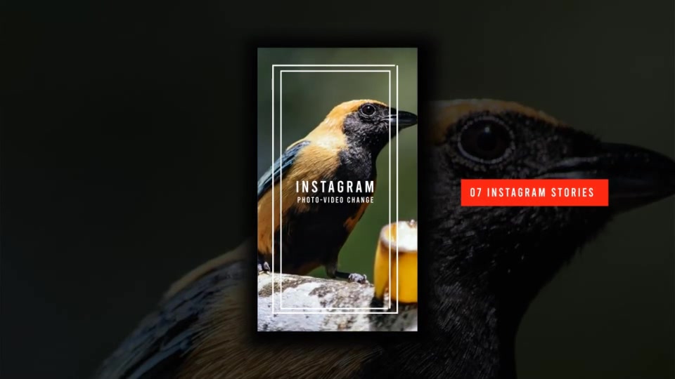 Instagram Stories Videohive 29475809 After Effects Image 8