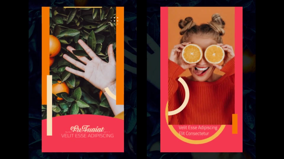 Instagram Stories Pack 1.0 Videohive 32385147 After Effects Image 11