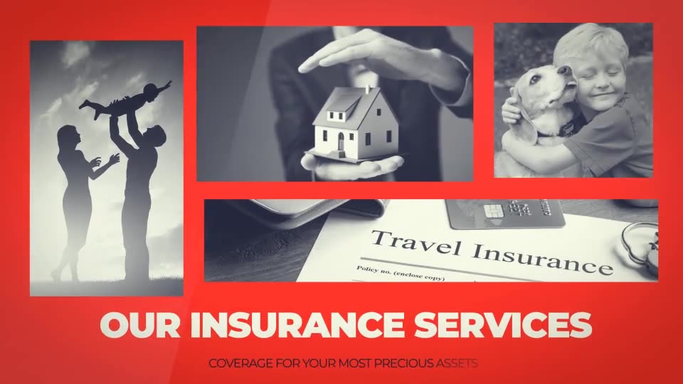 Insurance Company Agent Portfolio Videohive 22944826 After Effects Image 2