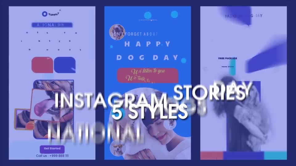 International Dogs Day and Pets Care Instagram Stories Videohive 33285007 After Effects Image 1