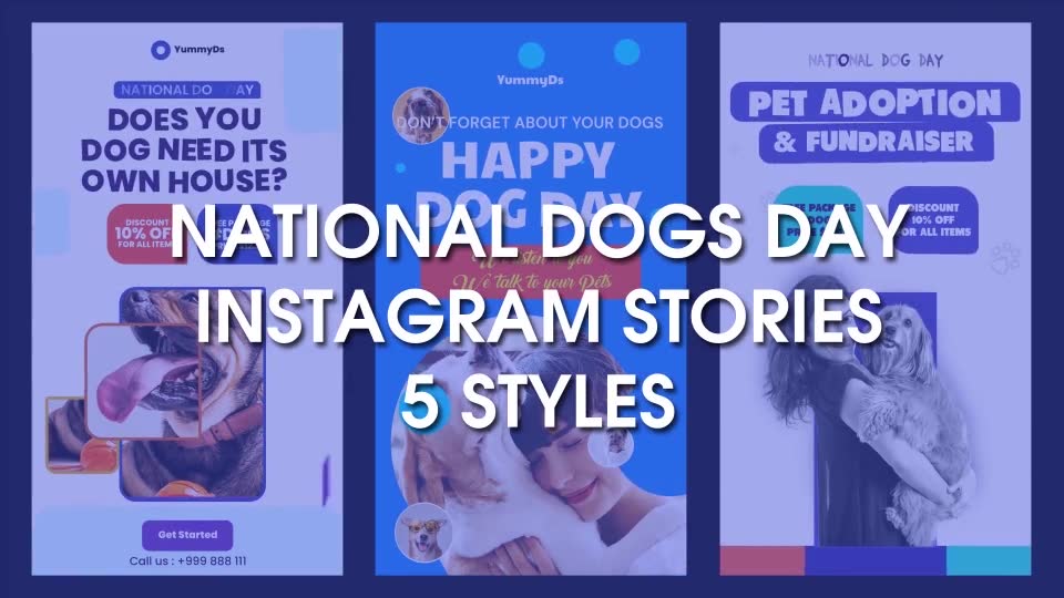 International Dogs Day and Pets Care Instagram Stories Videohive 33285007 After Effects Image 2