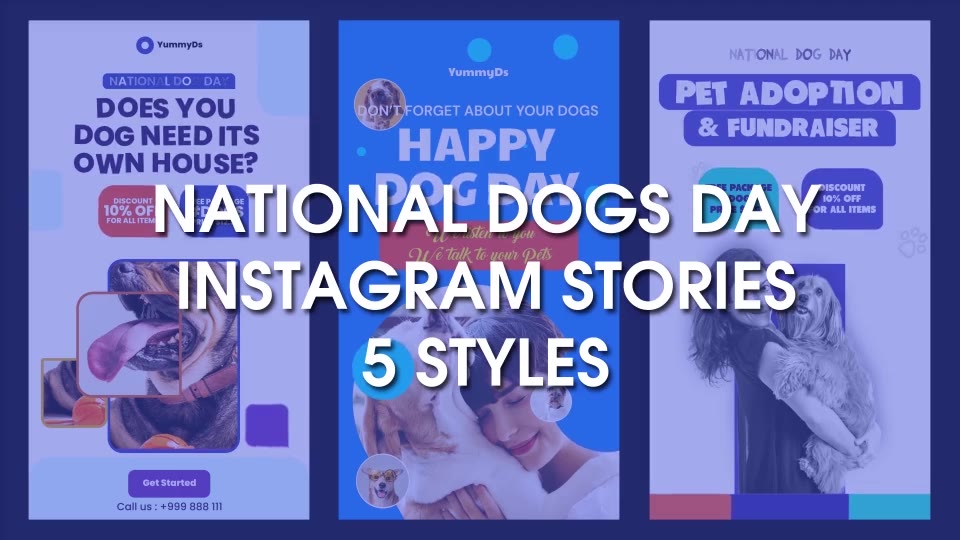 International Dogs Day and Pets Care Instagram Stories Videohive 33285007 After Effects Image 3