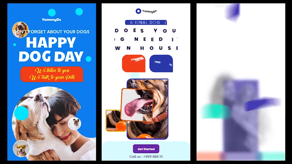 International Dogs Day and Pets Care Instagram Stories Videohive 33285007 After Effects Image 5