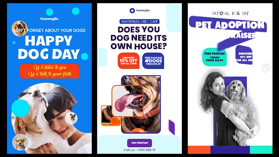 International Dogs Day and Pets Care Instagram Stories Videohive 33285007 After Effects Image 6