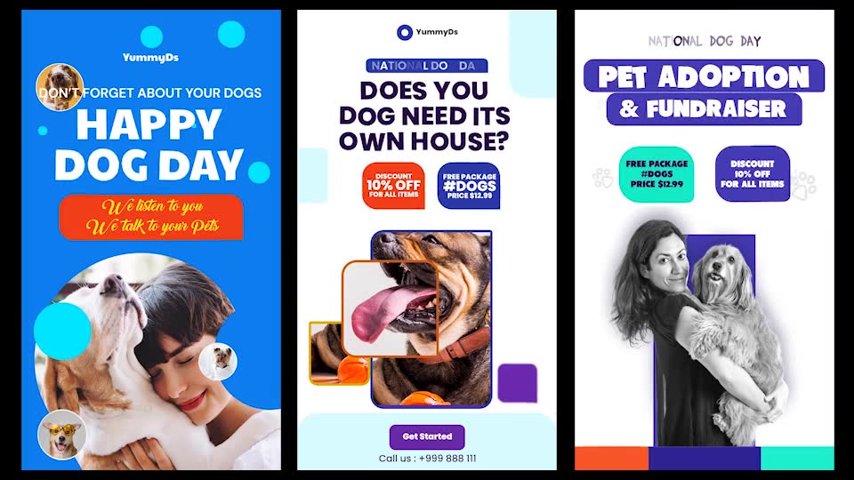International Dogs Day and Pets Care Instagram Stories Videohive 33285007 After Effects Image 7