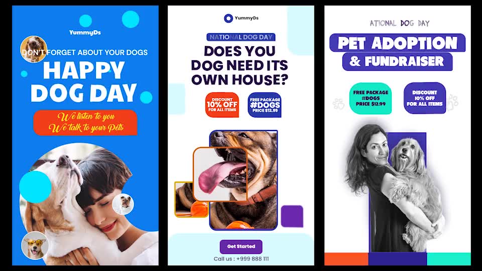 International Dogs Day and Pets Care Instagram Stories Videohive 33285007 After Effects Image 8