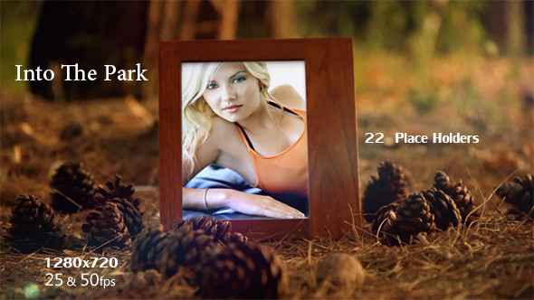 Into The Park V1 - Download Videohive 5533893