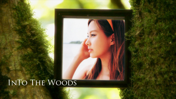 Into The Woods V1.0 - Download Videohive 5522644