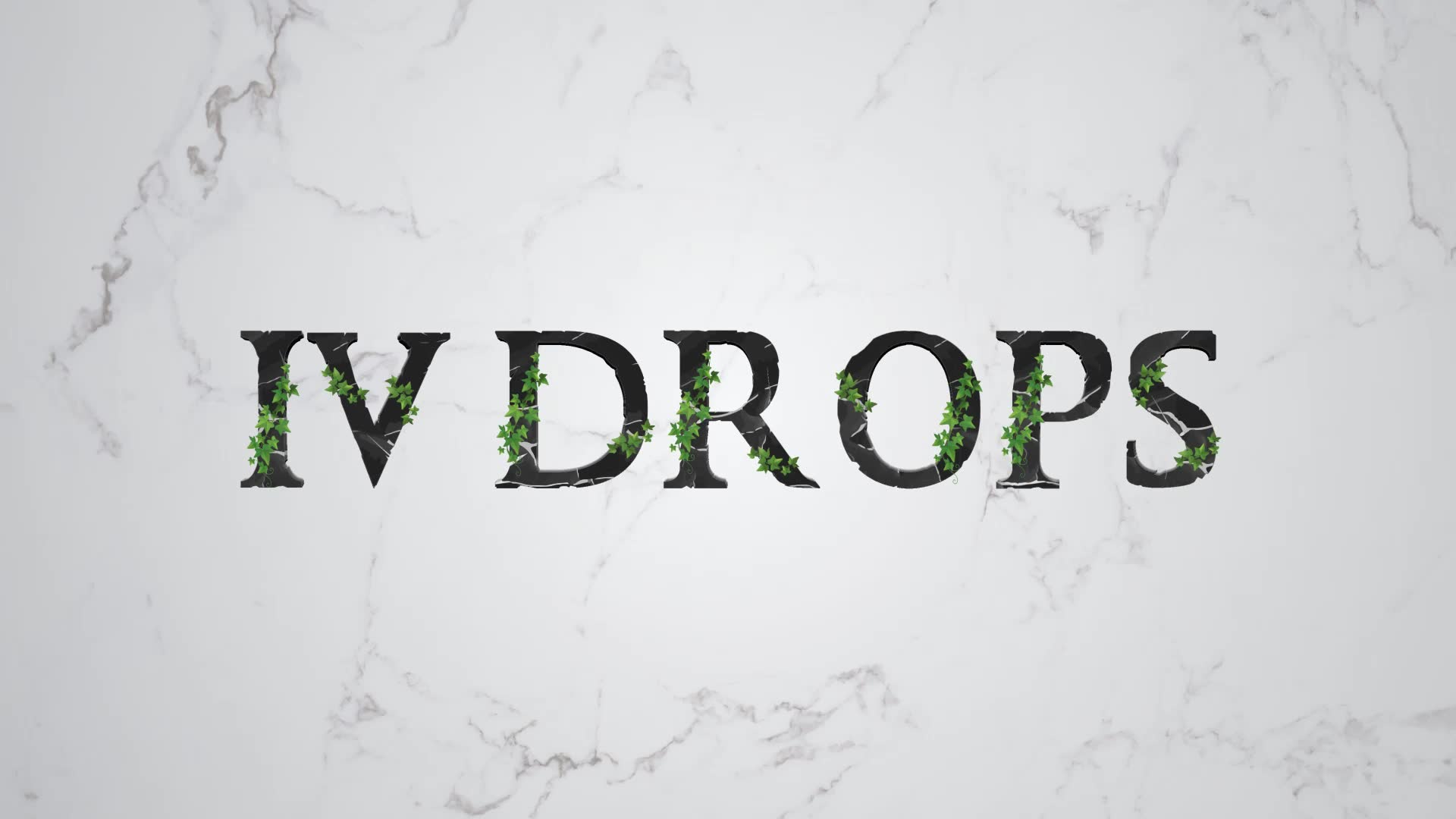 IVY ALPHABET Videohive 33886423 After Effects Image 2