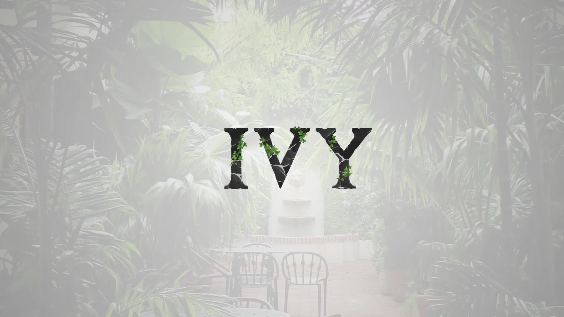 IVY ALPHABET Videohive 33886423 After Effects Image 3