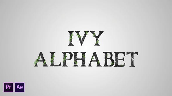 IVY ALPHABET - Download 33886423 Videohive
