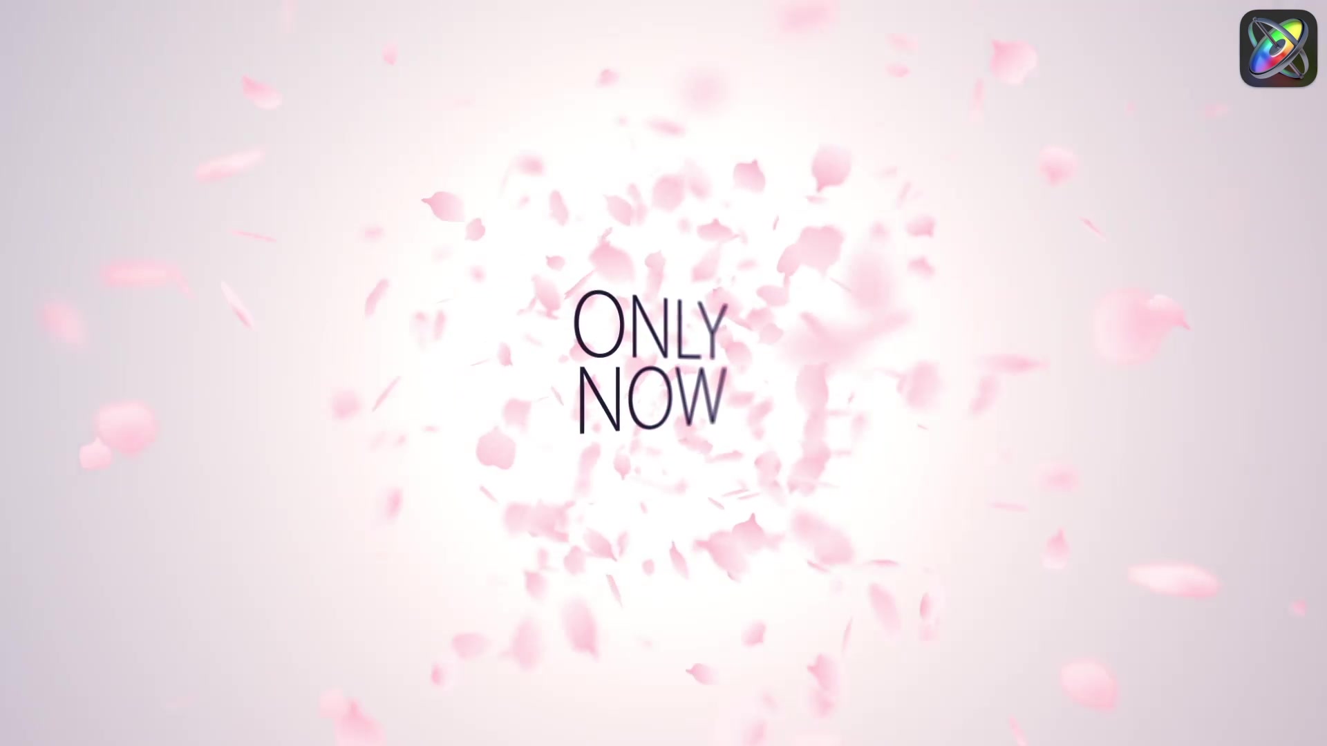 Japan Style Intro Romantic Titles Animation Promo Apple Motion Template Videohive 35180549 Apple Motion Image 4