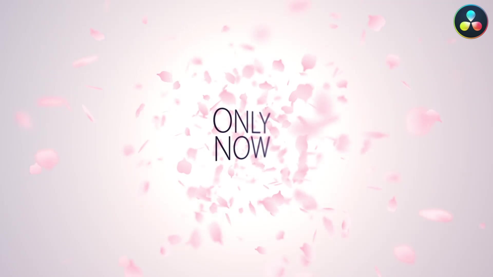 Japan Style Intro Romantic Titles Animation Promo DaVinci Resolve Template Videohive 35118205 DaVinci Resolve Image 4