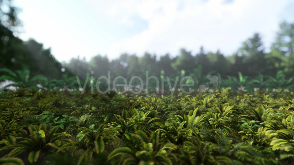 Jungle 03 HD - Download Videohive 21385369