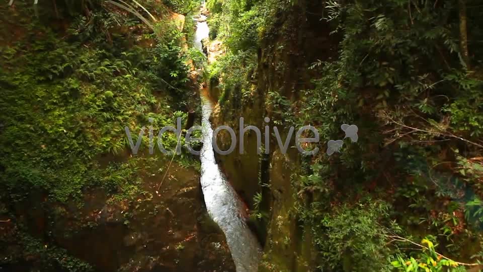 Jungle Flight  Videohive 2293326 Stock Footage Image 1