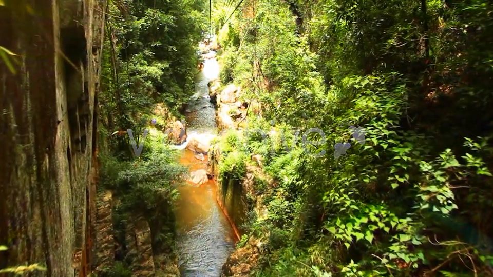 Jungle Flight  Videohive 2293326 Stock Footage Image 10