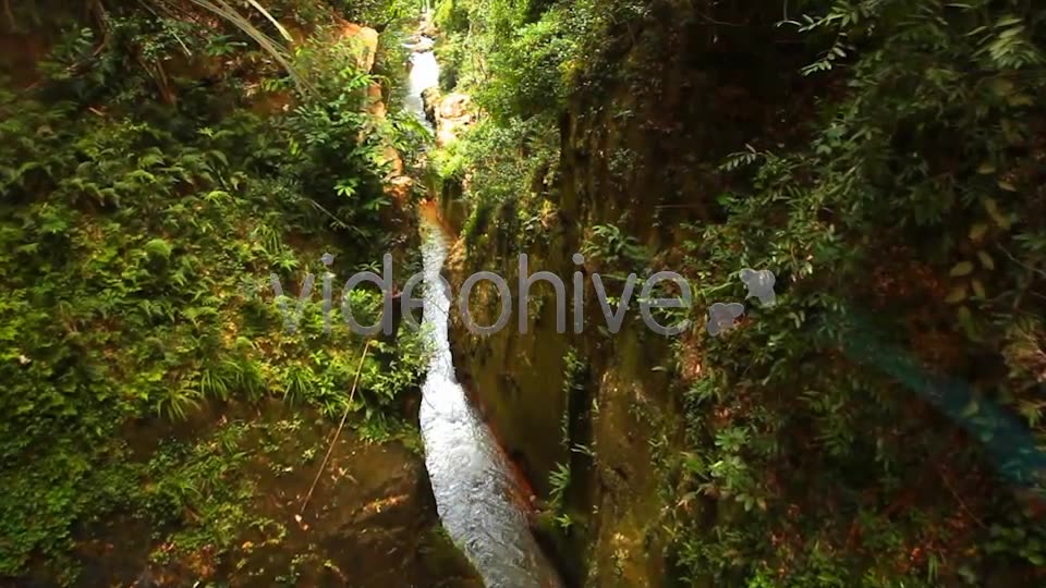 Jungle Flight  Videohive 2293326 Stock Footage Image 2