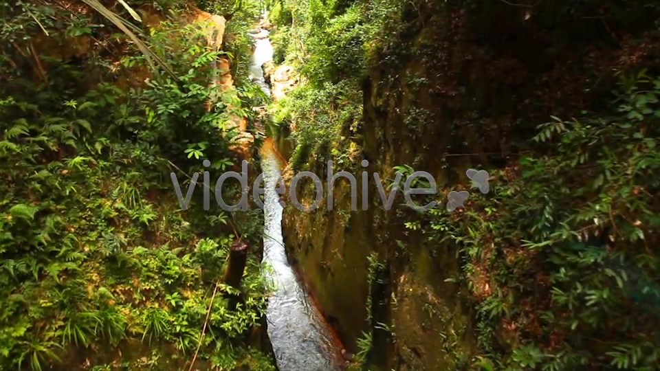 Jungle Flight  Videohive 2293326 Stock Footage Image 3