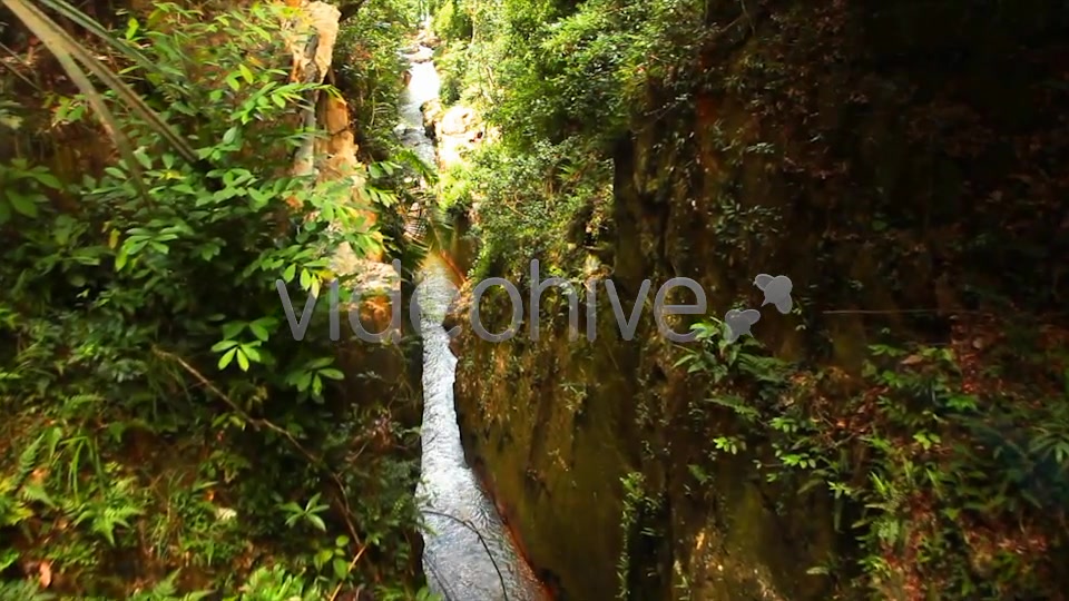 Jungle Flight  Videohive 2293326 Stock Footage Image 4