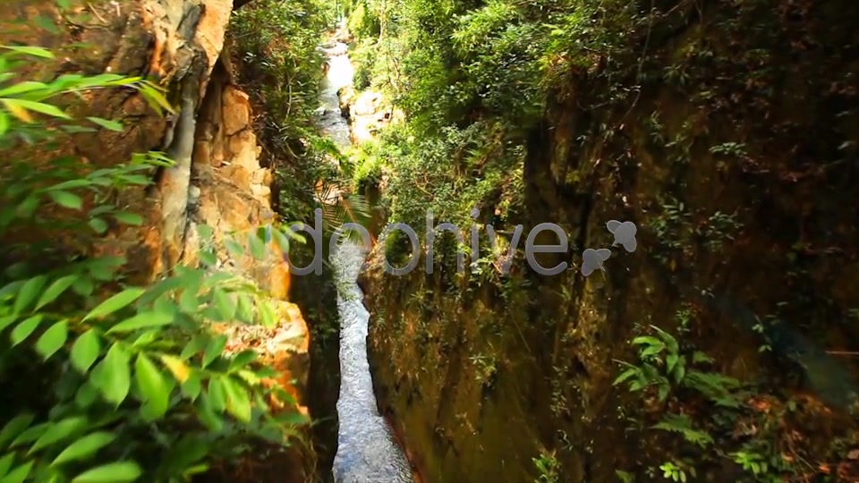 Jungle Flight  Videohive 2293326 Stock Footage Image 5