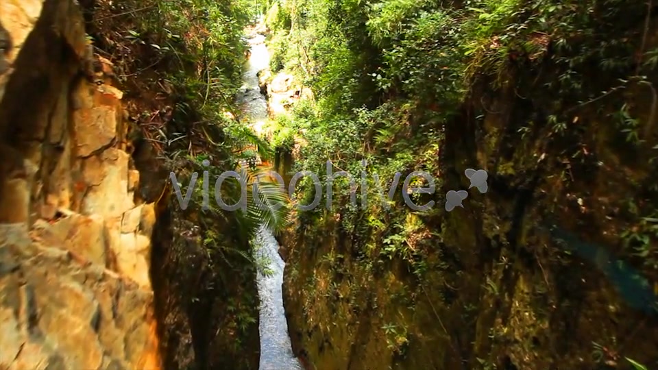 Jungle Flight  Videohive 2293326 Stock Footage Image 6