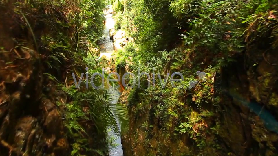 Jungle Flight  Videohive 2293326 Stock Footage Image 7