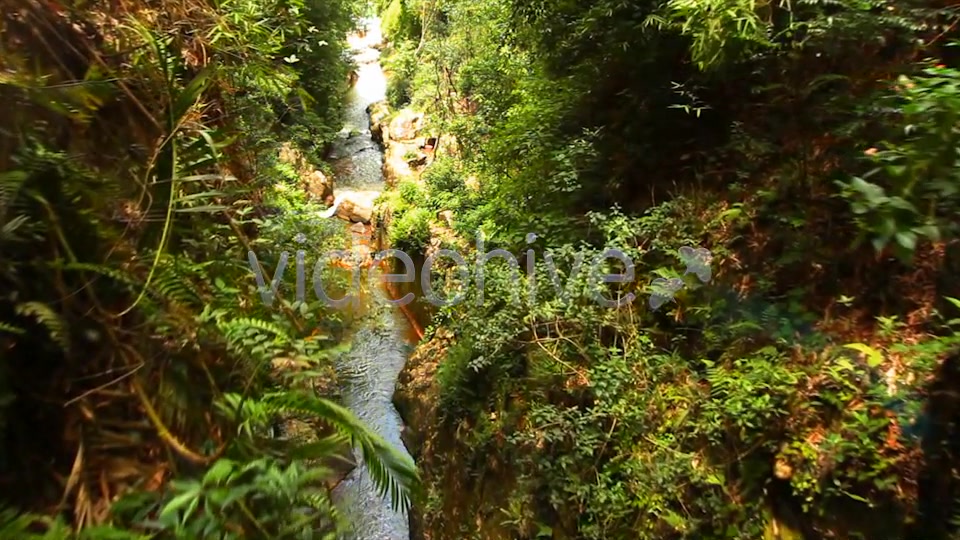 Jungle Flight  Videohive 2293326 Stock Footage Image 8