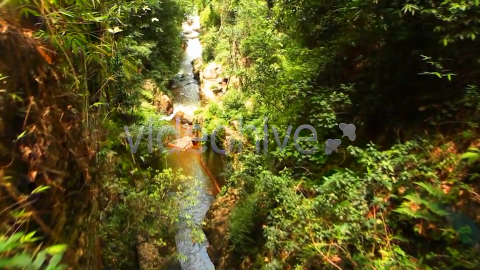 Jungle Flight  Videohive 2293326 Stock Footage Image 9