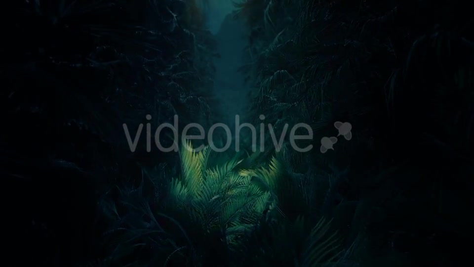 Jungle Palms 02 HD - Download Videohive 20418796