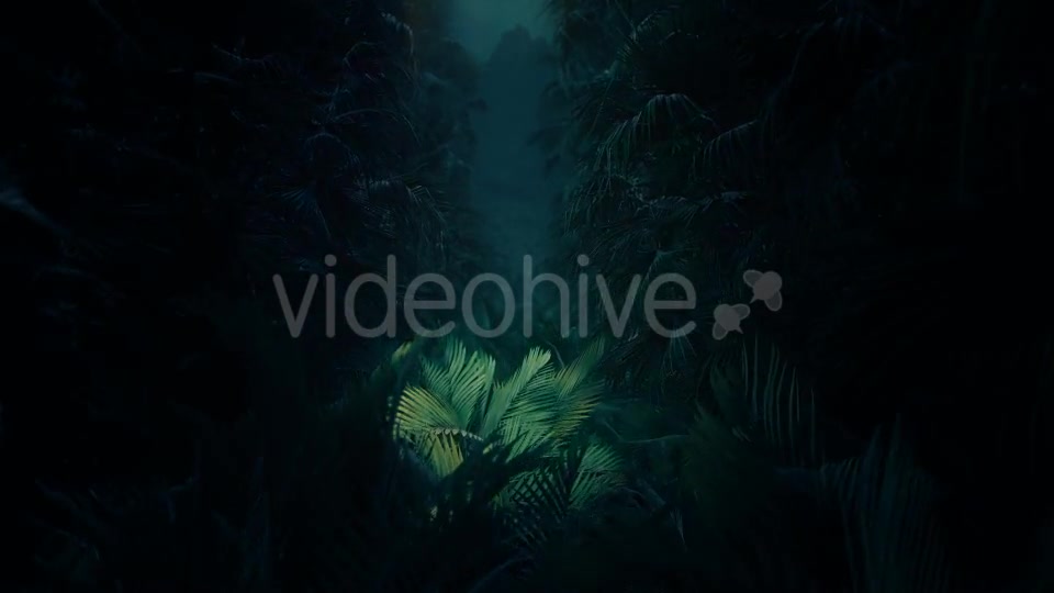 Jungle Palms 02 HD - Download Videohive 20418796