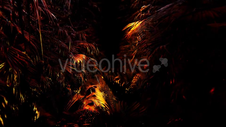 Jungle Palms 03 HD - Download Videohive 20470959