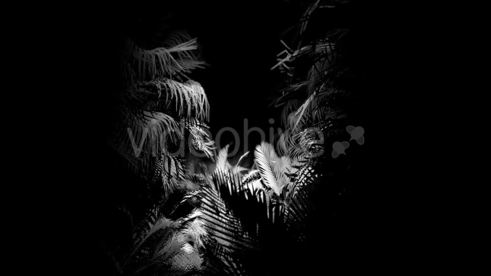 Jungle Palms 04 HD - Download Videohive 20412276