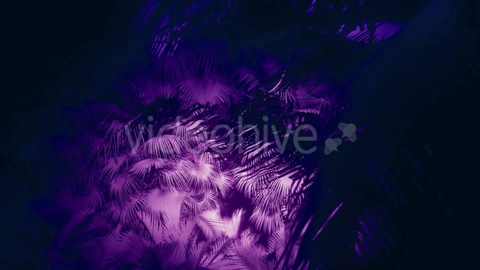 Jungle Palms 05 HD - Download Videohive 20433842